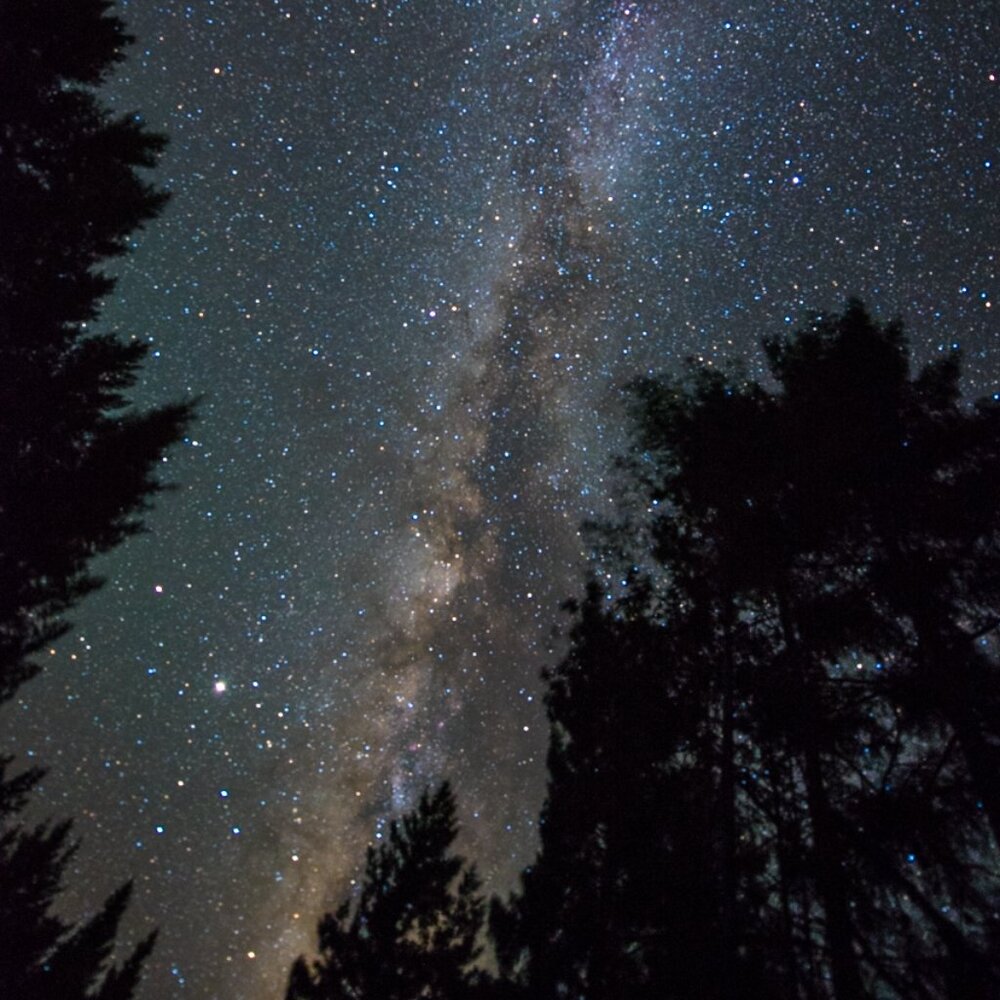 Meet your Posher, gowhillikers